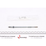 Свічка розжарювання Renault Master 3.0CDI 07- (11V) 