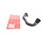 Патрубок радіатора (верхній) (R) BMW 3 (E46) 1.6i/1.8i 97-05 