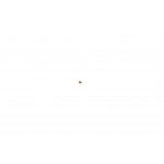 Кулька клапана форсунки  