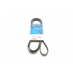 Ремінь генератора Opel Omega B 2.5DTI 01-03 