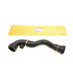 Патрубок радіатора (верхній) BMW 3 (E46) 2.0-3.0 i 00-06 (L) M52/M54 