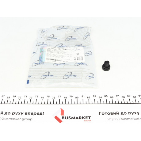 Болт системи випуску повітря для радіатора BMW 3 (E36/E46)/5 (E34/E39)/7 (E38) 82-12