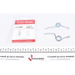 Пружини супорта (заднього) Opel Insignia A/Skoda Octavia II/VW Golf IV 03- (К-кт L+R) 