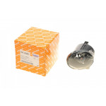 Фара протитуманна BMW 5 (F10) 10-13 (L) 