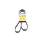 Ремінь генератора Renault Kangoo/Megane III/Scenic III 1.2TCe 12-  