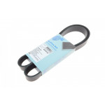 Ремінь генератора Renault Megane/ Grand Scenic 1.9dCi/1.6-2.0 02-/ Nissan Juke 1.6 10- (7PK1127) 