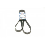 Ремінь генератора Renault Megane/Laguna/Scenic 2.0 dCi 07-/Peugeot 508 2.0HDI 18- (7PK1705) 