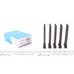 Болти головки (к-кт 10шт.) VW Passat/Multivan VI/Golf V/VI/T5/T6 1.8/2.0 04- (M10x1.5x117) 