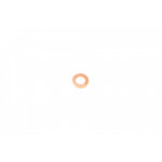 Шайба під форсунку VW Caddy/Crafter/T5 2.0 TDI 10- (7.7x13x1.5) 