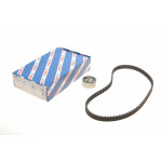 Комплект ГРМ Renault Kangoo 1.4/1.6i 97- (17x96z) 