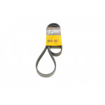 Ремінь генератора VW Golf/VW Bora 2.3 97-00/Kia Soul II/Sportage III 2.0 14- 