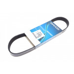 Ремінь генератора Citroen Berlingo/Jumper/Jumpy/Fiat Ducato/Scudo/Peugeot Boxer/Expert (6PK725) 