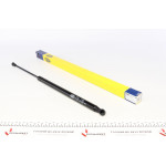 Амортизатор капоту Lexus GS 300/430/450h/460 05-11 