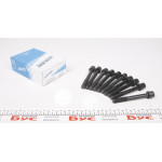 Болти головки (к-кт 10шт.) Opel Combo 1.7CDTI 