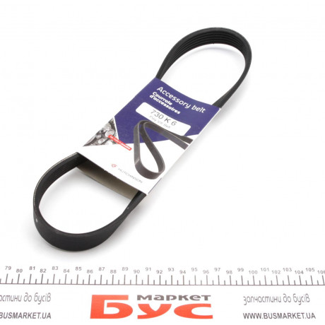 Ремінь генератора Citroen Berlingo/Fiat Ducato 1.9 D/TD 96-03 (6PK730)