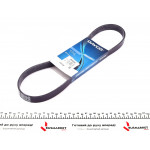 Ремінь генератора Citroen Berlingo 1.6VTi 09- 