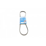 Ремінь генератора Fiat Doblo/Fiorino/Linea/Qubo 1.3JTD 04- (4PK1022) 