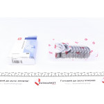 Вкладиші корінні Daewoo Nexia/Opel Combo 1.2i-1.6i (+0.50) (к-кт) = 6035005000 