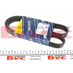 Ремінь генератора Mitsubishi Galant VI 2.5 96-04 (6PK1060) 