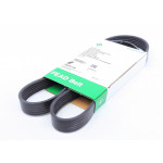 Ремінь генератора VW T5 1.9TDI/2.0TDI 03- (PS) 