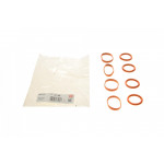 Прокладка колектора впускного Citroen C5/C6/C8/Peugeot 4007/407/508/607/807 2.2 HDi 06- (к-кт) 