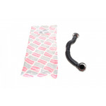 Патрубок вентиляції картера BMW X5 (E53) 00-06 