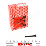 Болт кріплення корінного бугеля колінвалу (к-кт 12 шт.) VW Crafter 2.5 TDI (M10x80) 06-13 