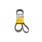 Ремінь генератора MB Vito OM611 (+AC) 