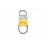 Ремінь генератора Citroen Jumpy/Peugeot Expert 1.6i 96- (10x675) 