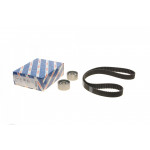 Комплект ГРМ Fiat Ducato/Iveco Daily/Renault Master 2.8 JTD/dTi 96-06 (30x154z) 