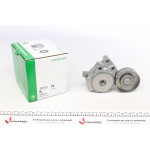 Натяжник ременя генератора VW Bora/Golf/Skoda Octavia 1.4-1.6 96-05 (натяжний) (76x26) 