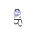 Ремінь генератора Fiat Doblo 1.4 05- (5PK1145) 