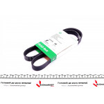 Ремінь генератора Renault Scenic 1.6 16V/Bifuel 79/81kw 09-, K4M 866 