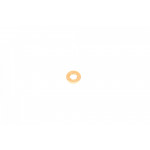 Шайба під форсунку Citroen C1/C2/C3 1.4 HDI 01- (7.5x15.4x2.5) 