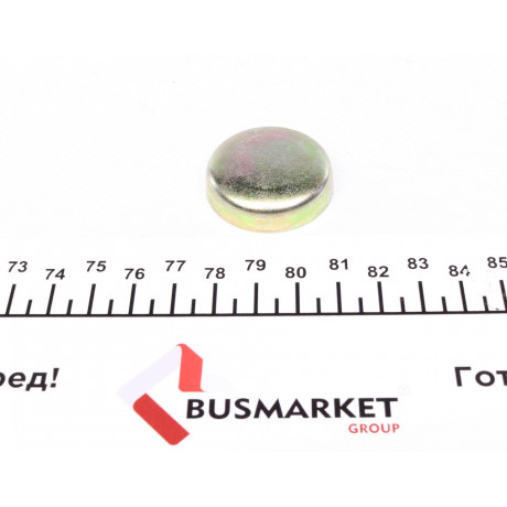 Заглушка блоку циліндрів DB/MB (d=34mm)