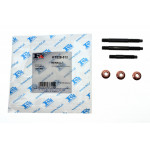 Комплект прокладок турбіни Renault Megane III/Scenic III 1.9 dCi 08- 