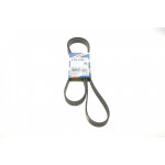 Ремінь генератора VW LT 2.5TDI 96-01/Peugeot Expert 1.9D/2.0HDI 98- (6PK1755) 