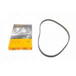 Ремінь ГРМ Fiat Scudo/Citroen Jumpy/Peugeot Expert 1.6 96-06 (15x138z) 