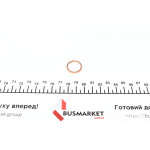 Шайба під форсунку BMW 5 (E34) 2.5 TD 88-95 (17,2x21x2) 