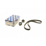 Комплект ГРМ Ford Transit Connect 1.8 16V/Focus/Mondeo 1.8/2.0 16V 02-13 (25x129z) 