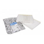 Фільтр салону BMW 5 (F10)/7 (F01) 2.0-6.0 08- (к-кт 2 шт.) 