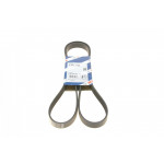 Ремінь генератора BMW 7 (E65/E66/E67) 4.0/4.5D 02-08/Honda Accord 2.0 03-08 (7PK1760) 