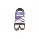 Ремінь генератора Ford Fiesta VI 1.25-1.6Ti 08- 