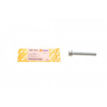 Болт важеля (переднього) VW T5/T6 03- (M14x1.5x95) 