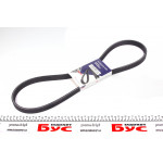 Ремінь генератора VW T5 1.9TDI/VW Caddy III 1.9TDI/2.0 (6DPK1195) 