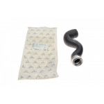 Патрубок інтеркулера (R) Audi A4/A6 1.9TDI 00-05 