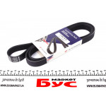 Ремінь генератора Peugeot Expert/Citroen Jumpy 1.9D/TD 96-/2.0HDI 00- (6PK1740) 