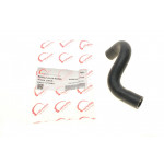 Патрубок радиатора Renault Kangoo 1.5 dCi 01- (теплообмінника) 