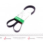 Ремінь генератора VW LT 2.8TDI 96KW/Ford Transit 2.0DI 00- 