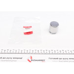 Поршень супорта (заднього) Mitsubishi Outlander/Lancer 03-/Nissan Leaf 10- (38x45mm) 